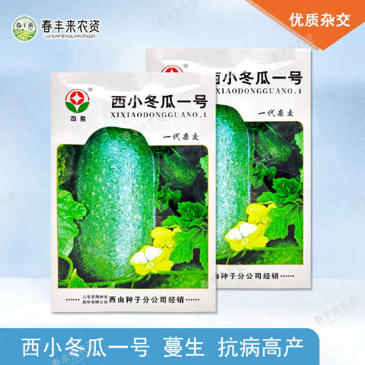 西星西小冬瓜一号冬瓜种子一代杂交小冬瓜种子高产冬瓜种子