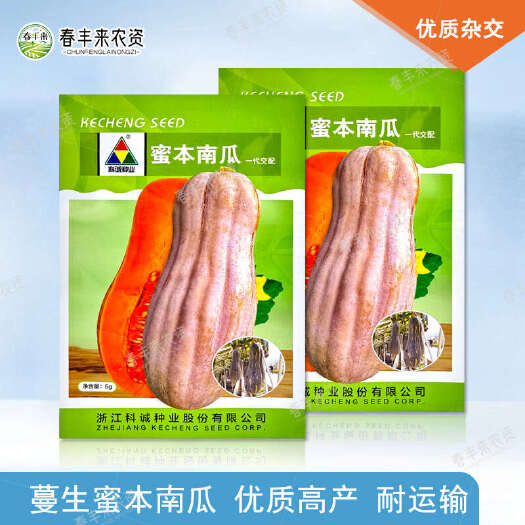 临沂科诚种业蜜本南瓜种子一代交配优质高产耐运输味甜品质佳