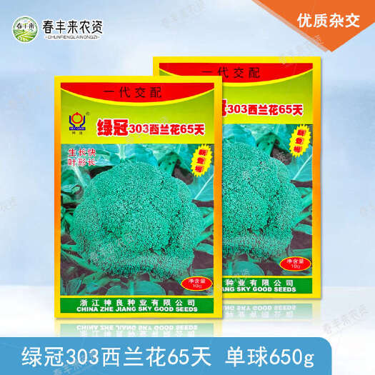 神良绿冠303西兰花65天青花菜种子10g早熟耐热65天