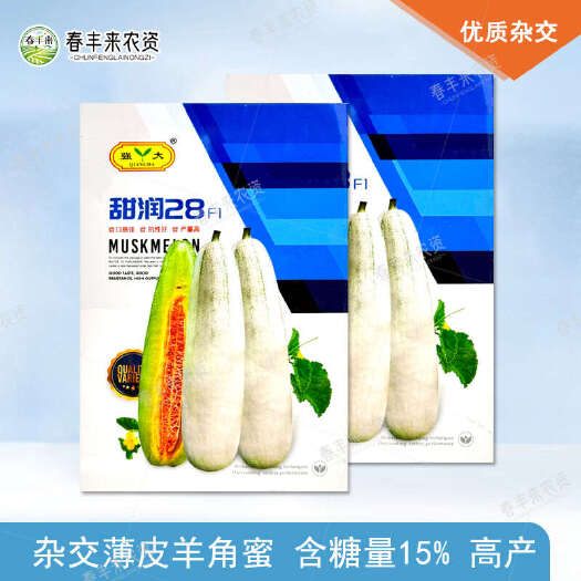 临沂甜润28F1一代杂交薄皮羊角蜜种子果肉黄绿色口感甜脆