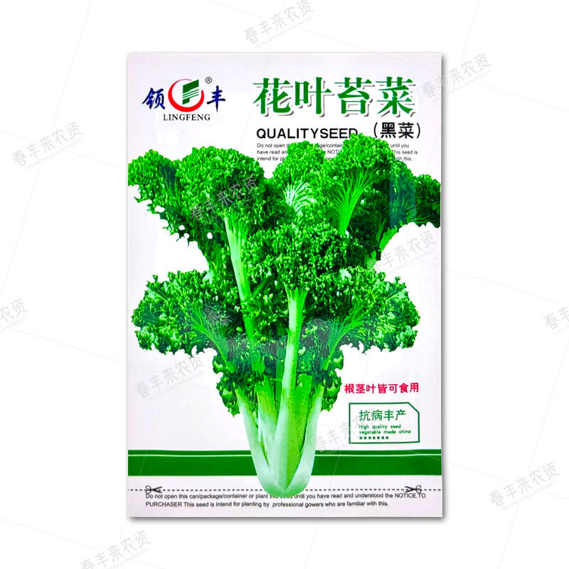 花叶苔菜种子青菜种籽抗寒抗病叶片厚越冬播种