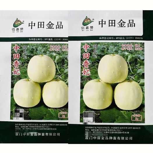 广州中田香妃甜瓜种子，皮薄肉厚，肉嫩爽口，香甜，基地种植