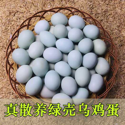 绿壳蛋 山林散养乌鸡蛋土鸡蛋 生态养殖月子蛋 孕妇蛋电商代发
