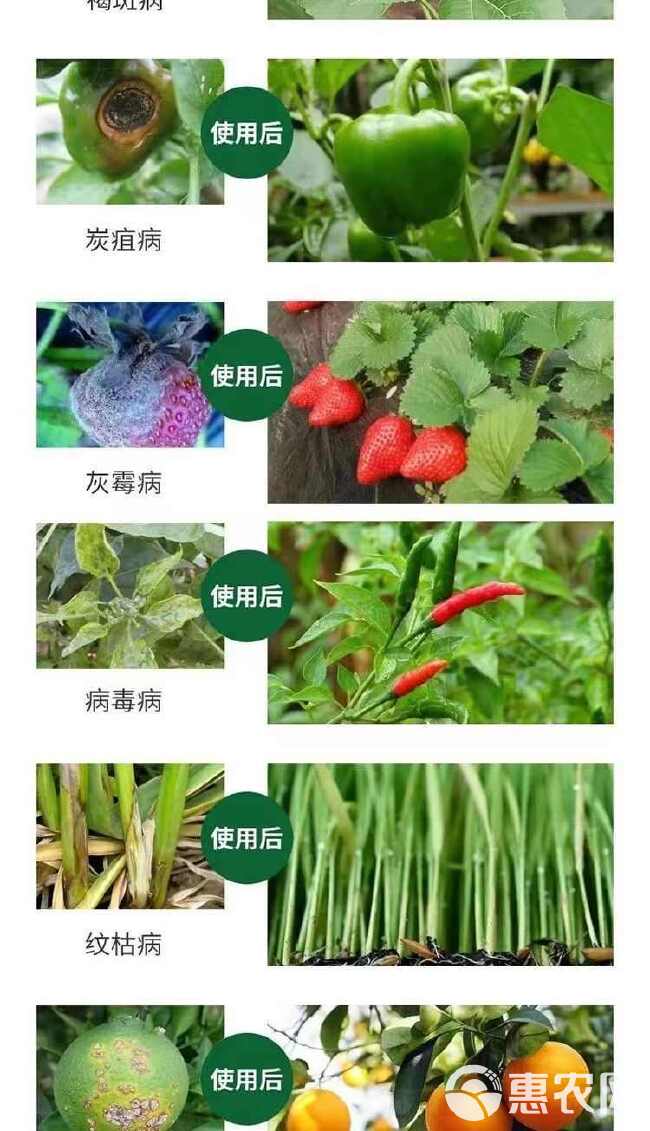 一刀斩哈茨木霉微生物菌剂菌淡紫紫孢菌真细抗重茬以菌治菌农优选