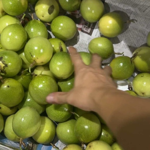 源头工厂黄金百香果产地直销