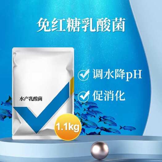长沙乳酸菌水产养殖专用浓缩菌种鱼虾蟹池塘肥水降pH亚盐五月瘟