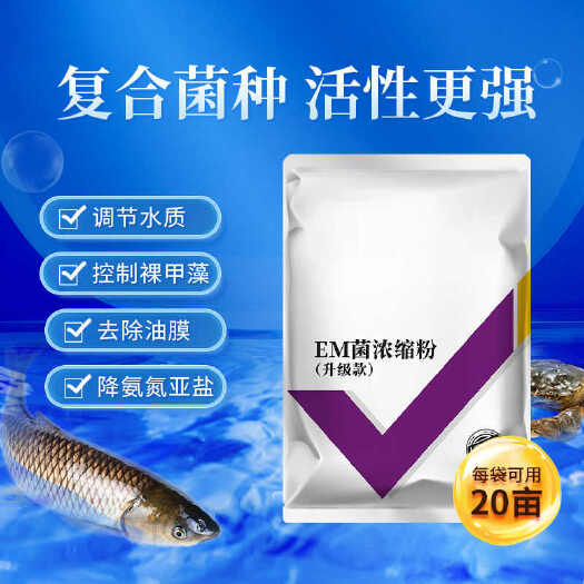 长沙EM菌浓缩粉发酵菌水产养殖专用复合芽孢杆菌有益生菌原种液