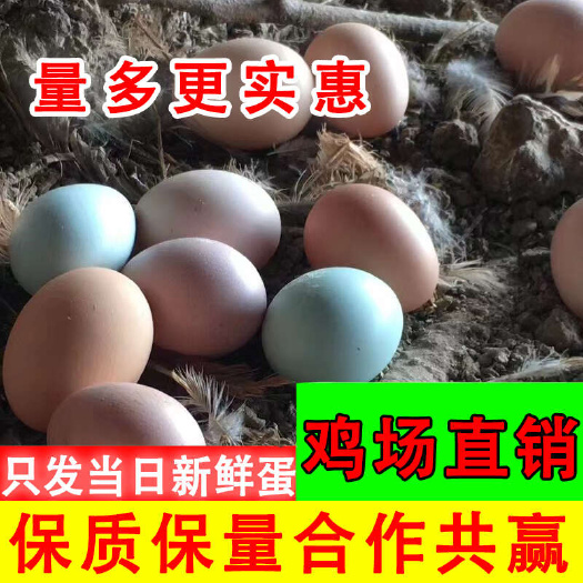 京山市生态散养土鸡蛋粉绿混装现捡现发新鲜直达