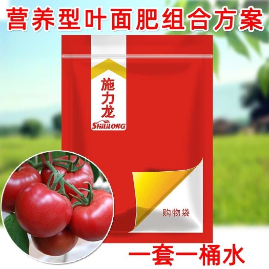 郑州西红柿专用叶面肥番茄圣女果坐果剂膨果提早熟防裂着色
