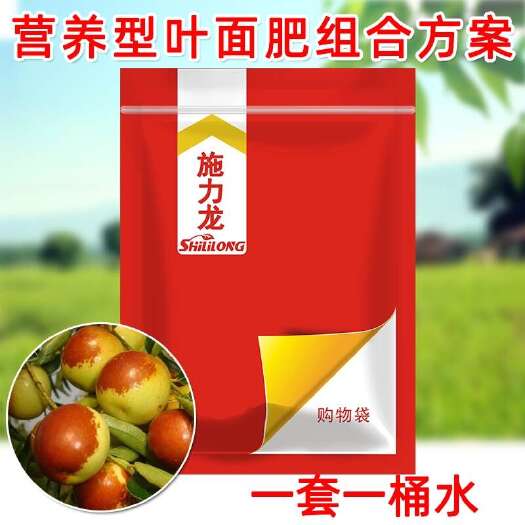 郑州枣树专用叶面肥 大枣冬枣叶面营养肥料膨果亮色保花保果