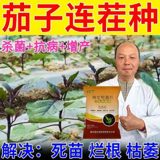 栾川县茄子根结线虫药根线无敌淡紫紫孢菌黄瓜小麦水稻大棚辣椒线虫专用