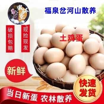 福泉市福泉高山林下散养土鸡蛋