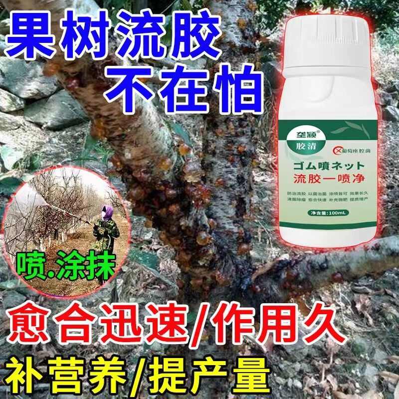 桃树流胶病专用流胶一喷净杀菌剂桃树果树溃疡腐烂病流胶穿孔通用