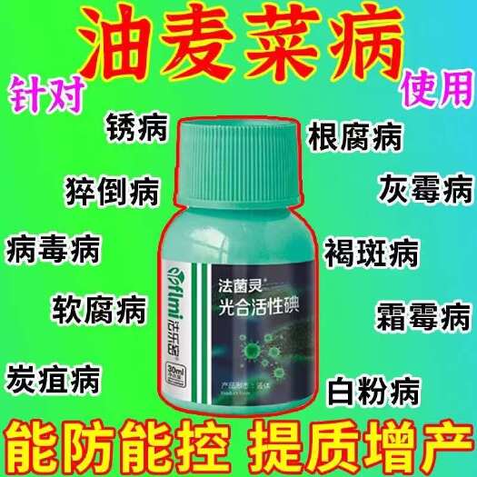 栾川县油麦菜专用杀菌剂油麦菜病全治霜霉病白斑病炭疽病褐斑病菌核病