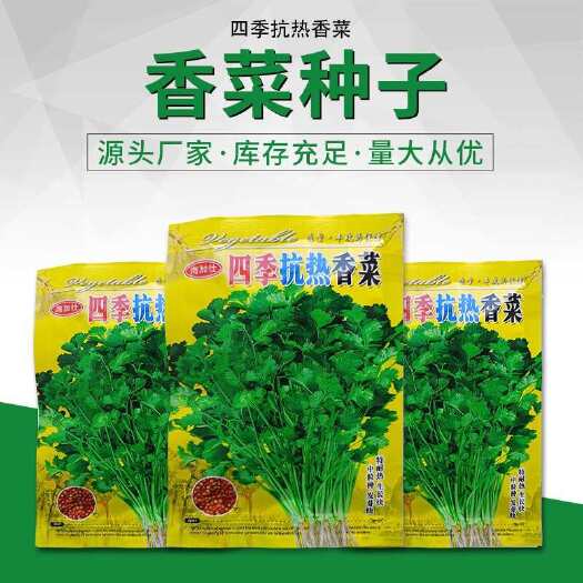 开平市四季香菜种子批发 四季易种蔬菜种子春季种子厂家批发