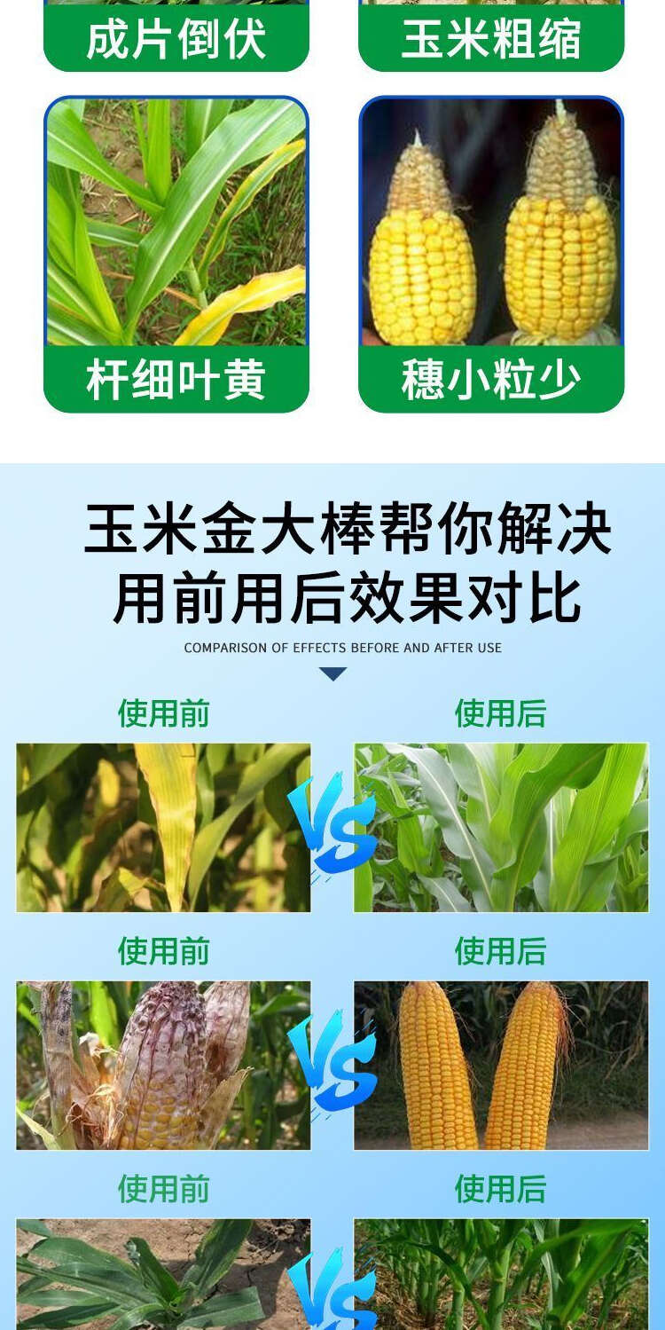 玉米葉面肥金大棒膨大素壯根壯苗抗倒伏拉長籽粒飽滿增產(chǎn)增收