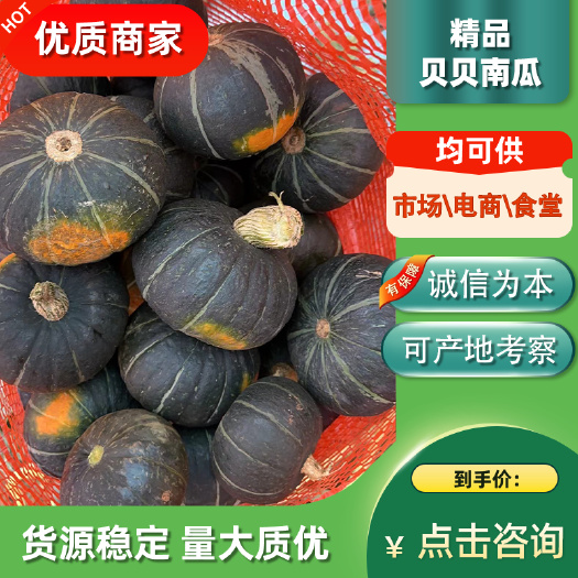 贝贝南瓜 板栗南瓜 湛江徐闻 现摘现发 可视频看货 按需挑拣