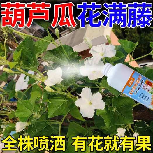 栾川县葫芦瓜授粉药葫芦瓜授粉座果精专用授粉花果素保花保果沾花防落素