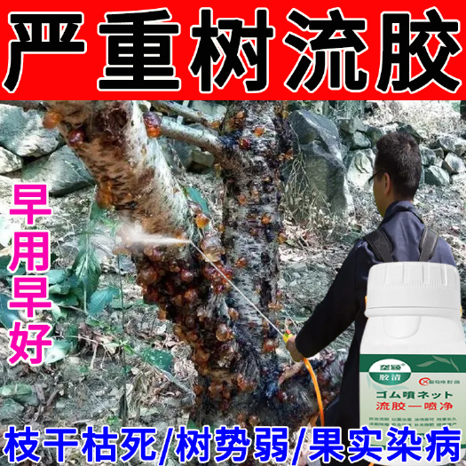 桃樹流膠病專用流膠一噴凈殺菌劑桃樹果樹潰瘍腐爛病流膠穿孔通用