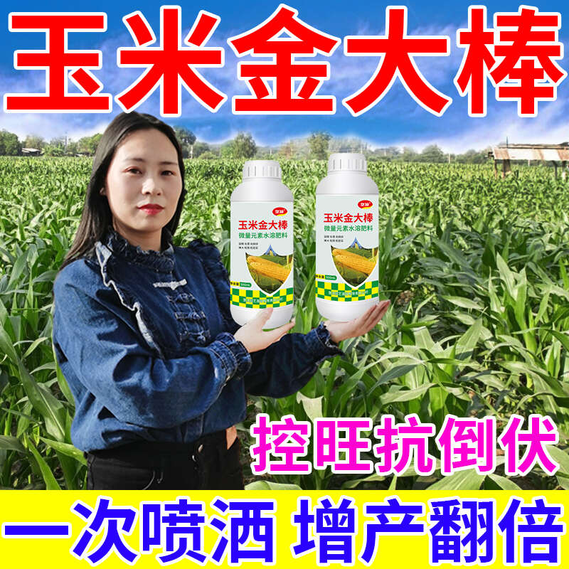 玉米葉面肥金大棒膨大素壯根壯苗抗倒伏拉長籽粒飽滿增產(chǎn)增收