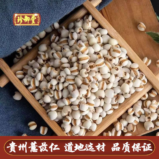 生薏苡仁 公斤 现货供应薏苡仁大量 批发薏苡仁好货薏苡仁