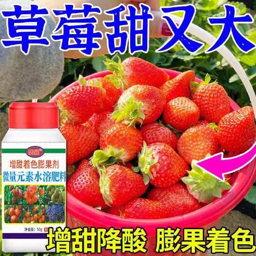栾川县草莓增甜膨大剂草莓膨果靓果增大降酸增色防畸形草莓专用水溶肥