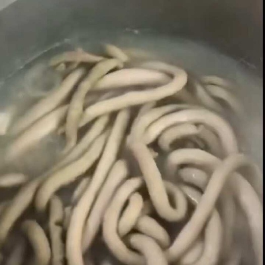 牛肠飞水牛小肠，少油多油可以选择，熟度高圆肠，新鲜干净