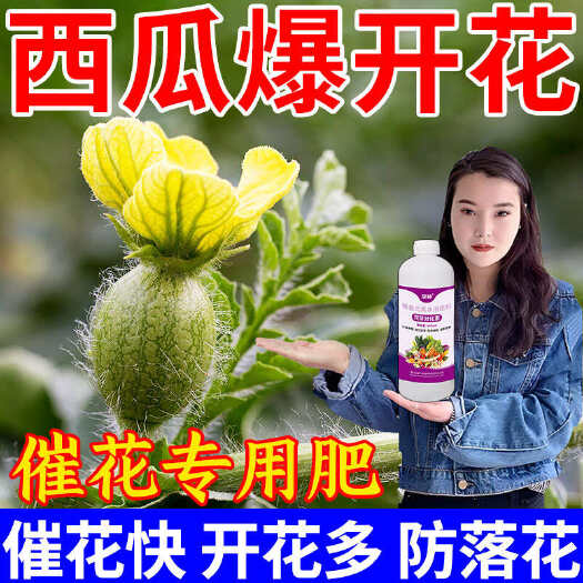 栾川县西瓜花芽分化叶面肥促进细胞分裂催花剂果树花芽素西瓜秧专用肥料