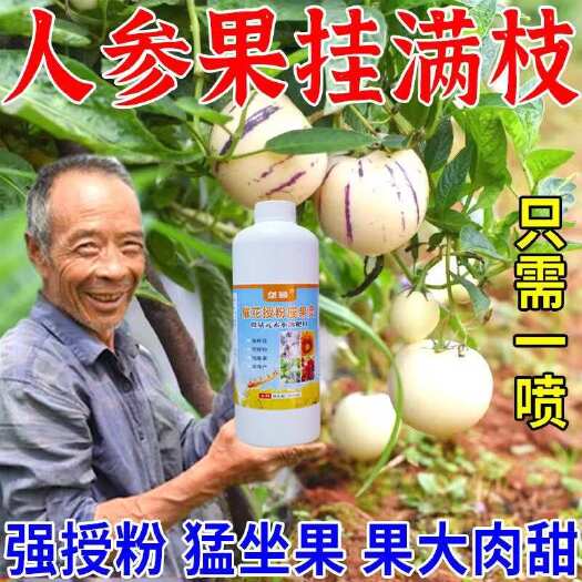 栾川县人参果授粉精增产王点花坐果灵保花保果防落果专用座果药授粉剂