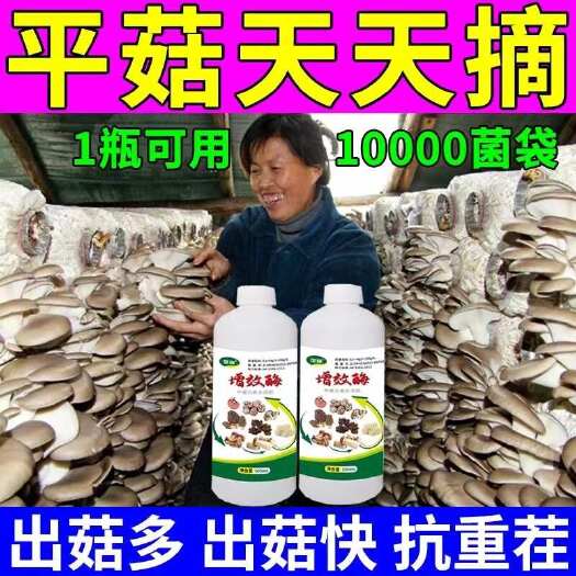 栾川县平菇专用肥香菇营养液营养素香菇天下增效酶菌棒营养催蕾催菇