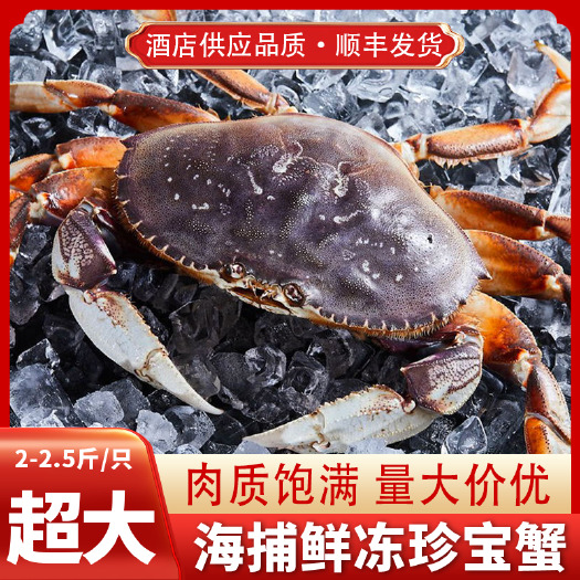深圳加拿大活冻珍宝蟹海鲜水产鲜活冷冻冰鲜肉蟹大螃蟹面包蟹太子蟹