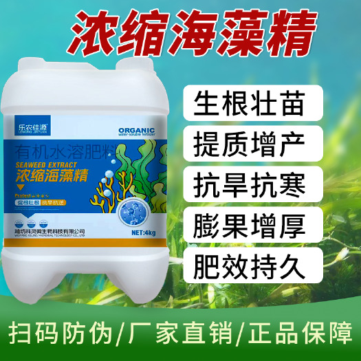 寿光市促根壮根靓果抗旱大田作物水溶肥浓缩海藻精通用绿叶