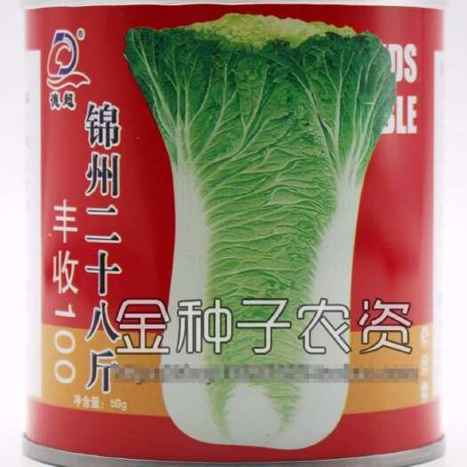 青县锦州二十八斤秋播大白菜种子 抗病 直筒型大白菜 耐