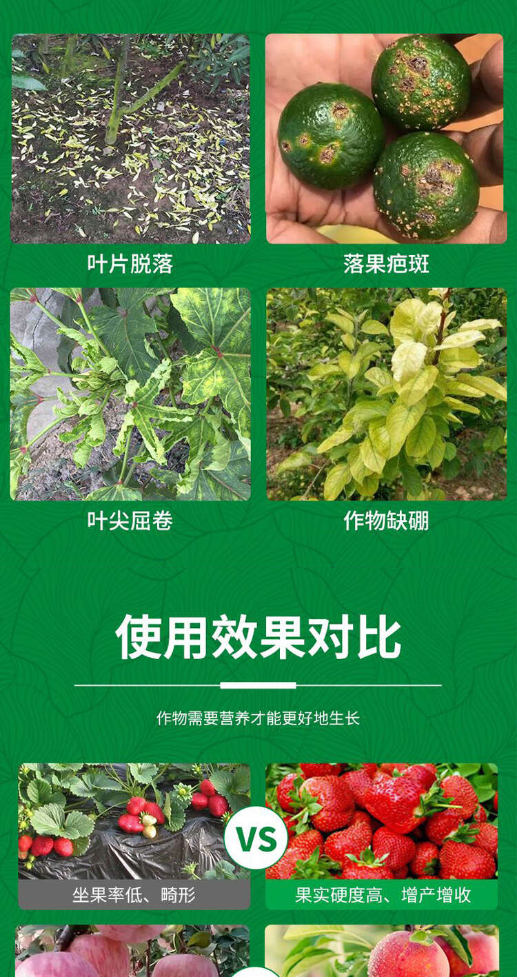 颗粒硼肥微量元素缓释肥底肥提坐果促花果树蔬菜通用正品