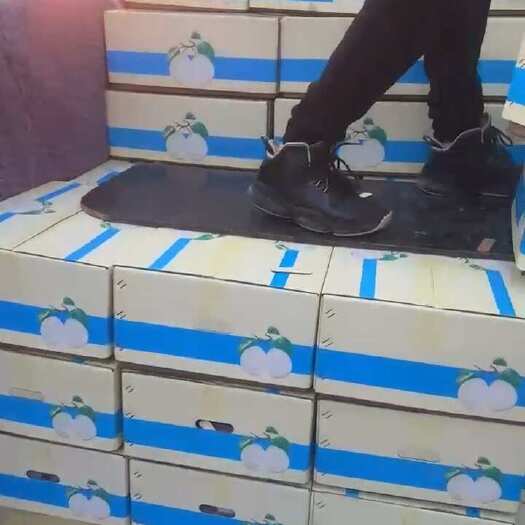 赵县皇冠梨