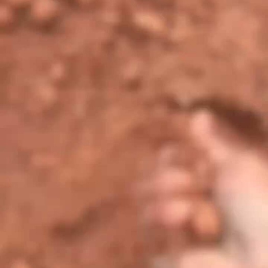  泥炭土