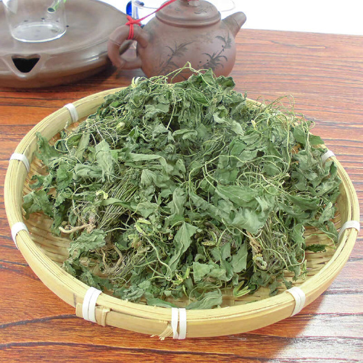 紫花地丁 犁头草 心叶堇菜  紫金锁 日晒 无硫中草药中药材