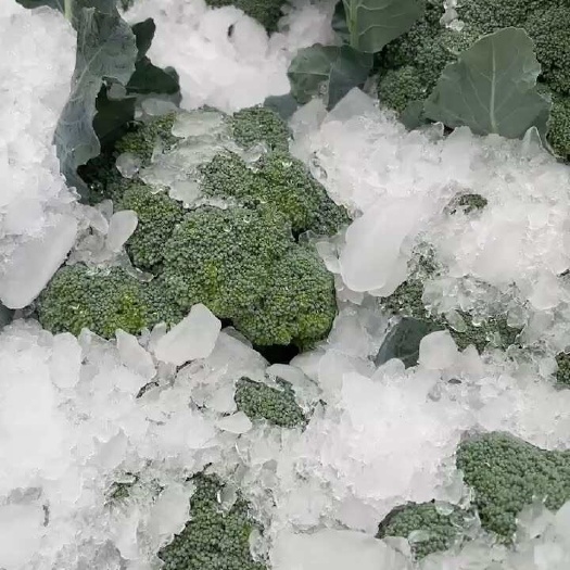 丰顺县炎秀西兰花