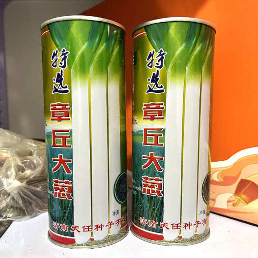 济南中华巨葱种子  章丘大葱种子 铁高杆品种 辣味道浓郁 春秋四