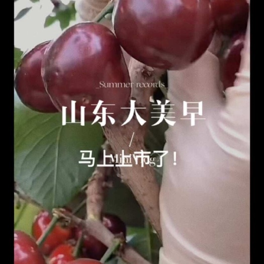 安丘市山东大樱桃便宜啦！