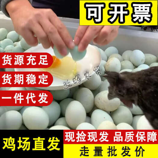 京山市精品绿壳乌鸡蛋土鸡蛋，江汉绿壳蛋，新鲜保证现捡现发