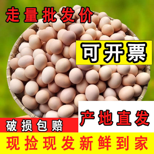 京山市精品粉壳土鸡蛋江汉土鸡蛋，品质优先现捡现发