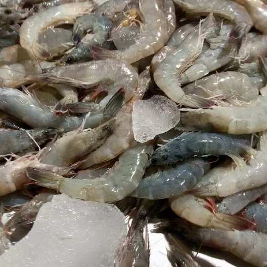 对虾