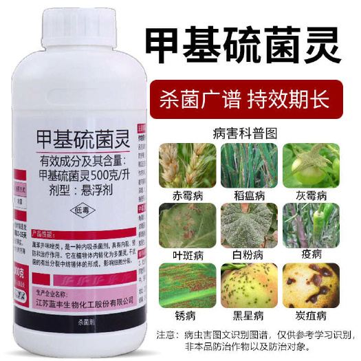50%甲基硫菌灵赤霉病叶斑病叶霉病果树花卉蔬菜农药杀菌剂