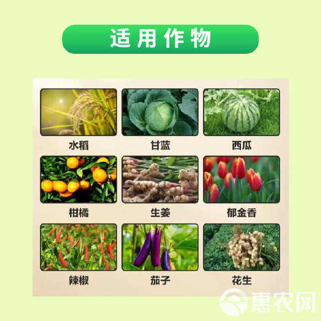 4.3%高氯甲维盐含量高农用菜青虫卷叶螟潜叶蛾甜菜夜蛾等