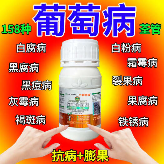 栾川县葡萄病全治葡萄专用杀菌剂炭疽病霜霉病灰黑痘病白粉病褐斑果腐病
