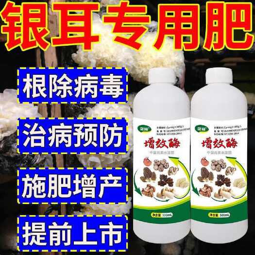 栾川县增效酶银耳增产肥出耳快快速出菇个大饱满肉质厚菌菇类增产营养液