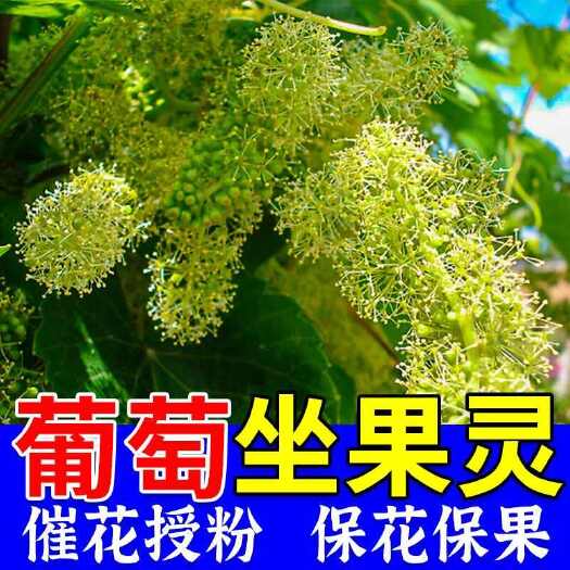 栾川县流体硼葡萄催花授粉坐果素防落果防裂果树专用坐果叶面肥