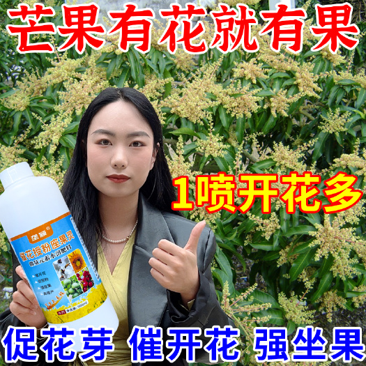 芒果催花素催化剂芒果催花专用海南促进花芽分化催花促花水溶肥