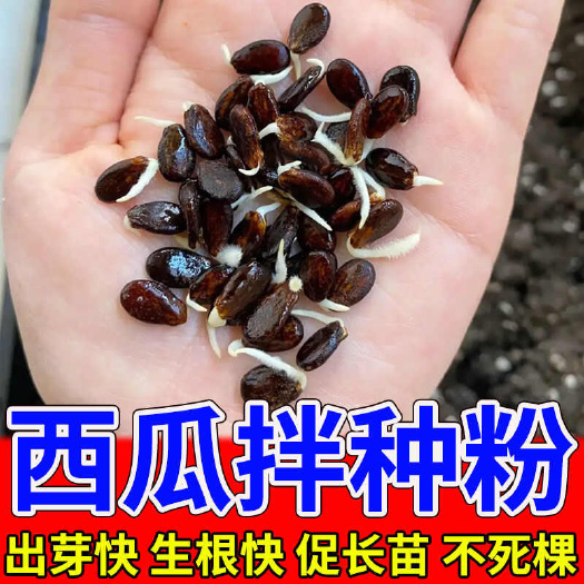 栾川县西瓜拌种剂西瓜种子专用催芽壮苗促生长防病防虫害增产生根粉